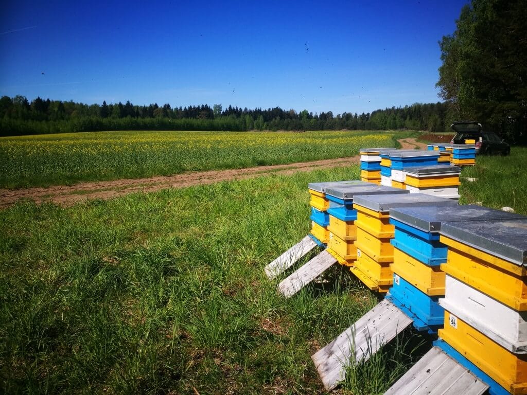 transport of bee colonies