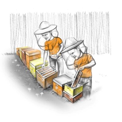 two kilos of bees for me, please
