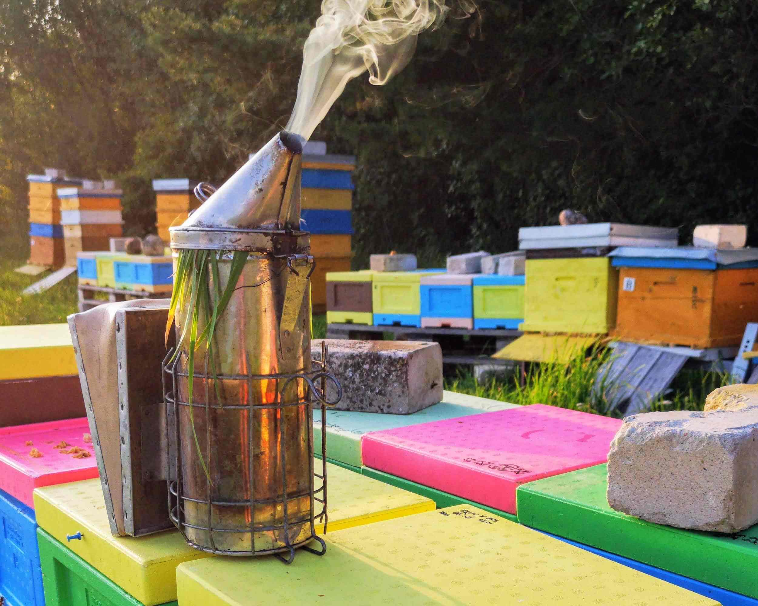 Caution! Beginner beekeeper 1 cautious beginner beekeeper