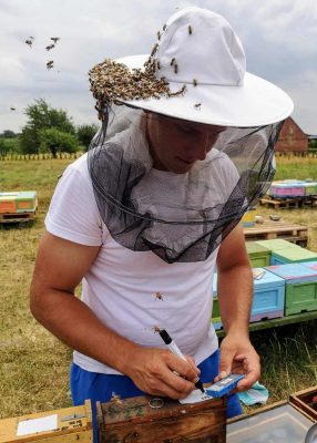 Honeymoon at the apiary 2 Medico