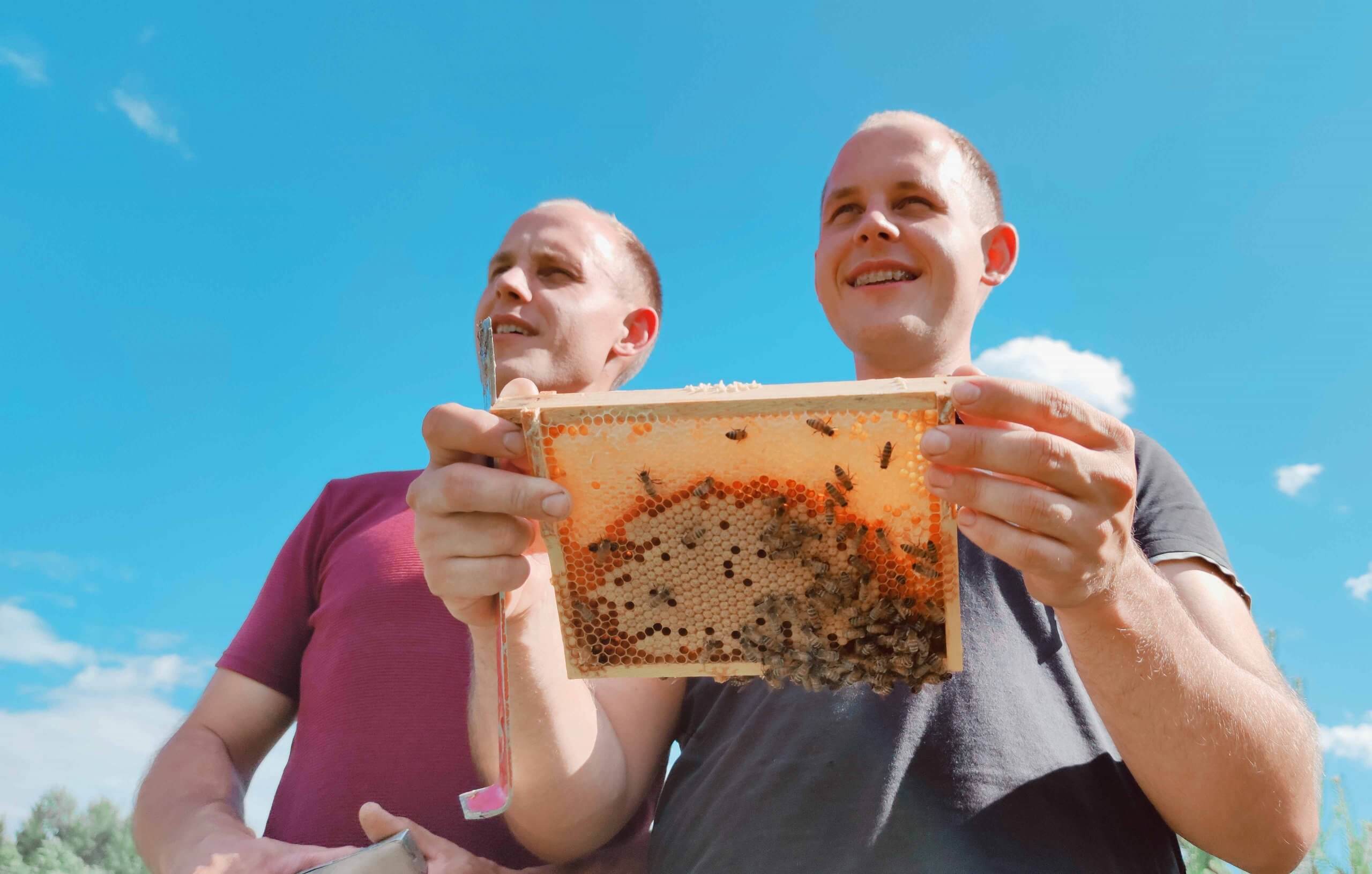Stomach acidity and honey. Can I use honey when I have heartburn? 1 gastric-fragility-and-honey
