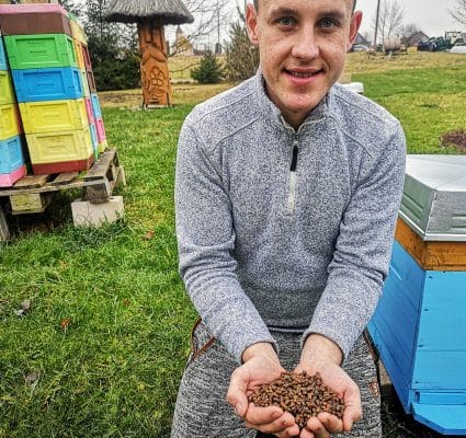 Benefits, properties and uses of bee bread 5 Kada valgyti bičių duonelę
