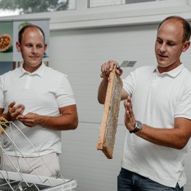 Miesto bitininkystė