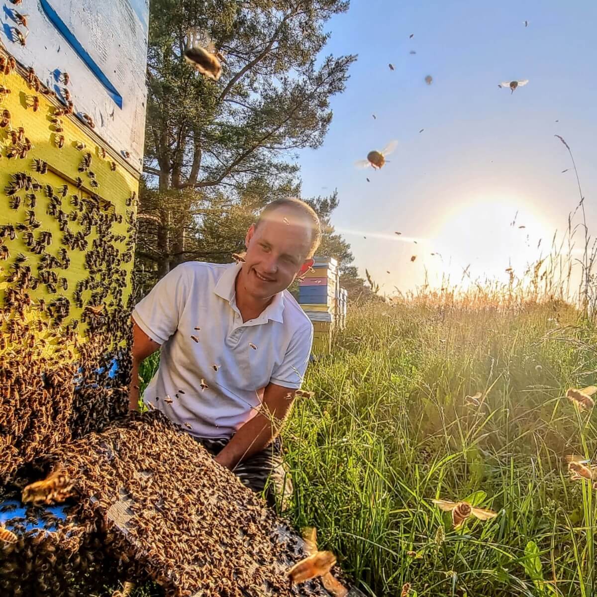 Manuka medus: kas tai, nauda sveikatai, MGO reikšmė ir kaip išsirinkti 1 square image 2 1